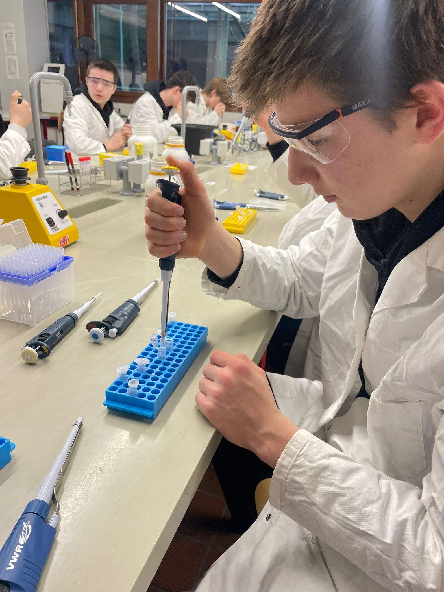 Mehr über den Artikel erfahren Bin ich ein Mutant?